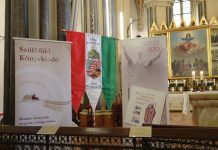 The Saint of Independence – Book on Pope St John Paul II