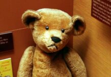 A Christmas Tale 2020 – Revealing the Teddy Bear’s Story