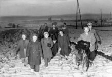 The Life of Hungarian Children Who Fled to Austria in 1956