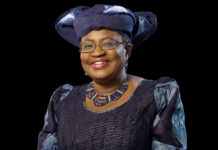 “I want to bring a fresh pair of eyes and ears to the WTO”