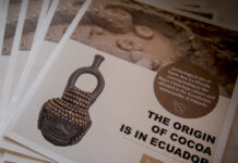 The History of Chocolate Begins in Ecuador, the Original Home of Cocoa