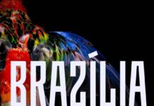 Brazil Through the Eyes of Artists – Exhibition