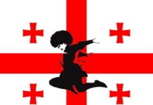 Sukhishvili, the Georgian National Ballet Mesmerized the Budapest Audience