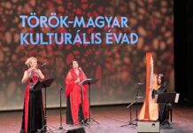 Hungarian-Turkish Cultural Season – Macar-Türk Kültür Yılı 2024