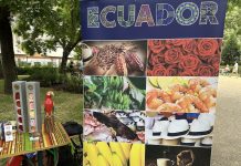Discovering Ecuador: A Day Celebrating its Culture and Natural Wonders in Budapest