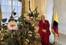 Mysterious Orchids of Ecuador: Orchid and Bromeliad Exhibition in Budapest