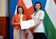 Georgian Ambassador Concludes Diplomatic Mission in Hungary with Honour and Artful Farewell