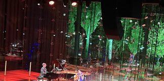 Marta Pereira da Costa: The Soul of the Portuguese Guitar at the House of Music in Budapest