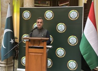 Art Exhibition by the Embassy of Pakistan in Budapest