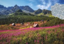 “Four Seasons in Poland” – Outdoor Exhibition Opens in Budapest