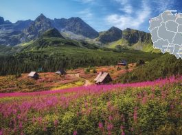 “Four Seasons in Poland” – Outdoor Exhibition Opens in Budapest