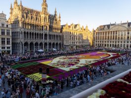 Brussels Grand-Place – The Giant Flower Carpet 2026