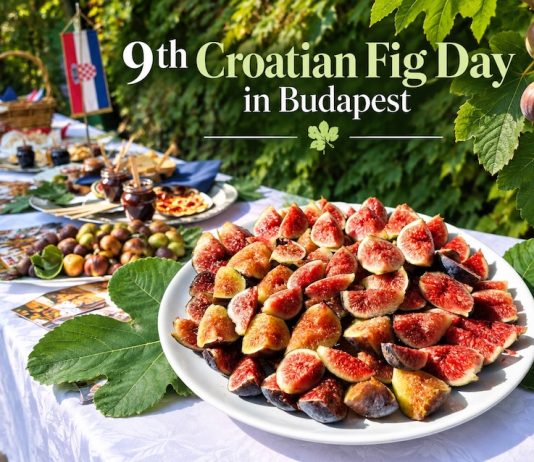 9th Croatian Fig Day in Budapest in 2026